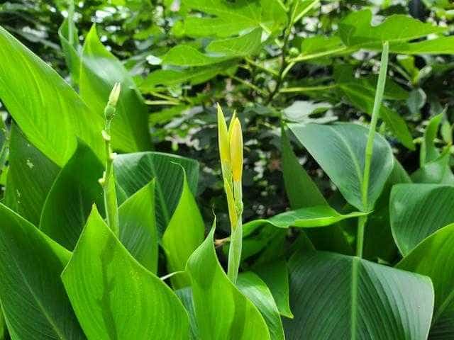 三星S20 Ultra评测:1.08亿像素拍出精彩的世界