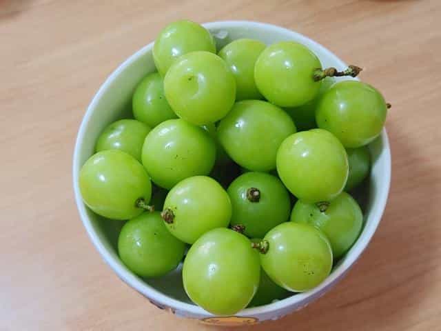 三星S20 Ultra评测:1.08亿像素拍出精彩的世界