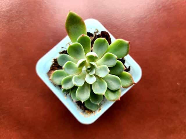 三星S20 Ultra评测:1.08亿像素拍出精彩的世界