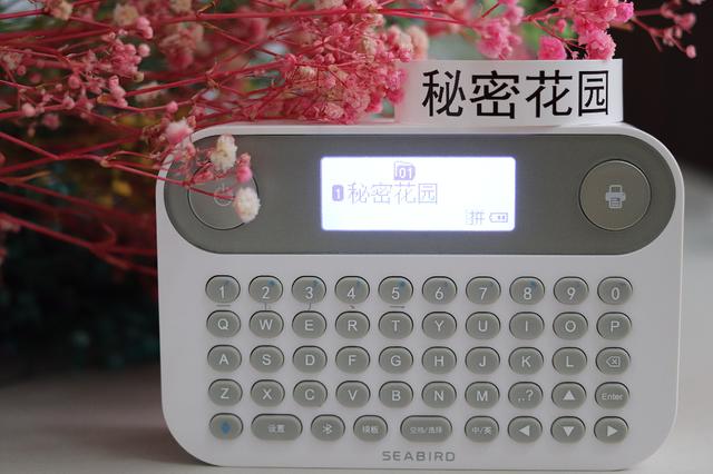 妈妈式唠叨再也不会有,海鸟贴纸打印机的文字交流来了