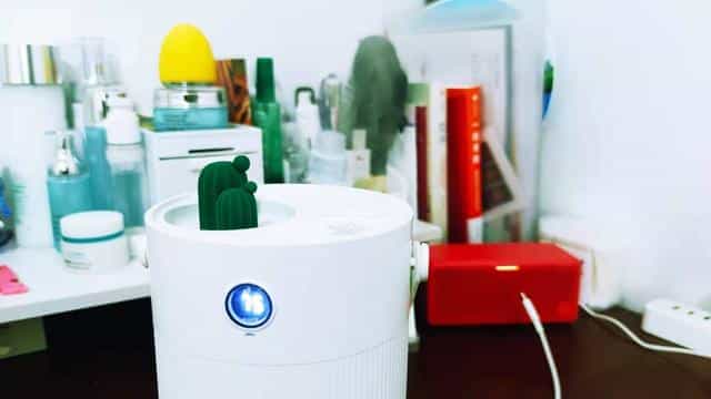 向物桌面加湿器,可爱呆萌,冬天必备