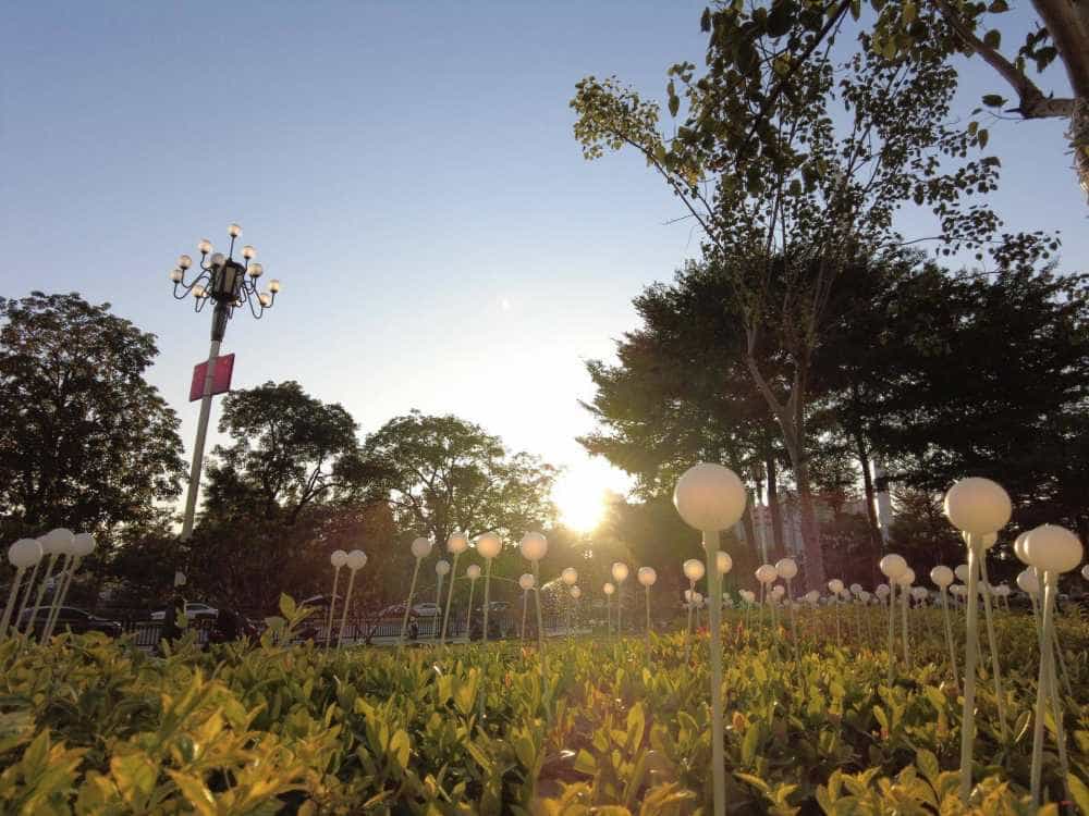 大疆 POCKET 2随手拍,拍出精彩拍出自在