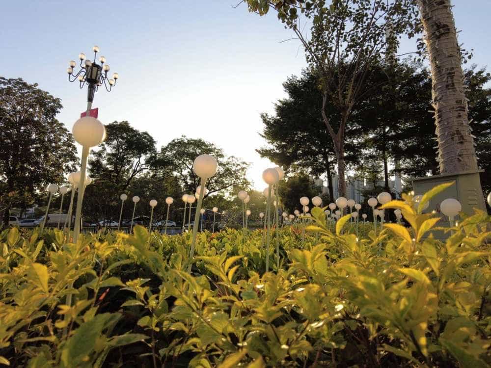 大疆 POCKET 2随手拍,拍出精彩拍出自在