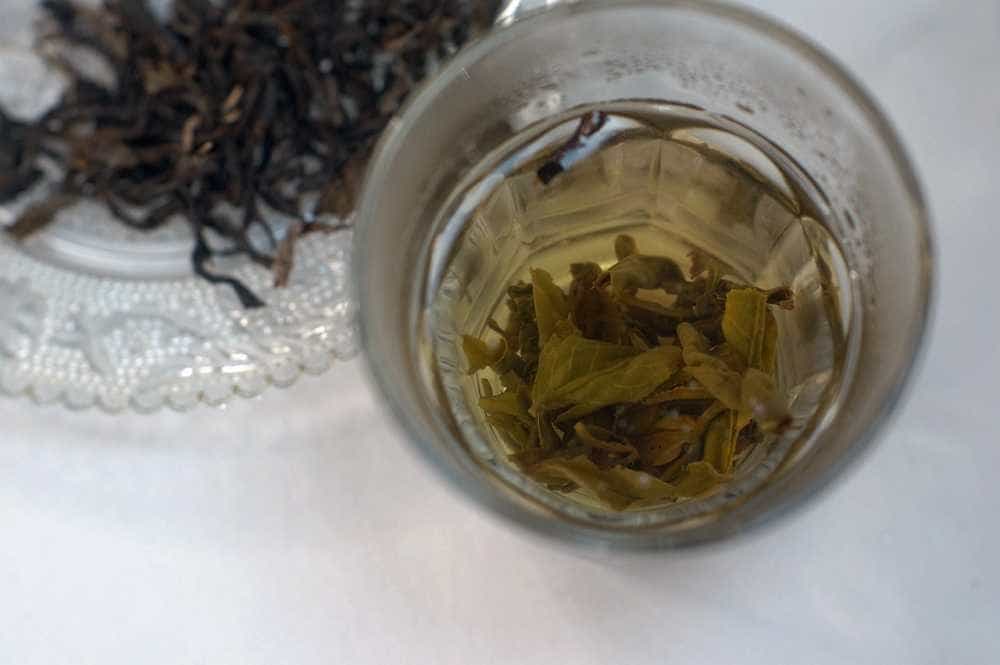 有机普洱茶生茶浓香四溢鲜苦厚甜