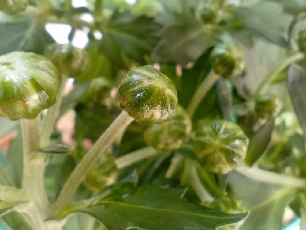 超大音量超长续航的硬核三防智能手机-AGM H5 Pro,户外工作者的完美助手