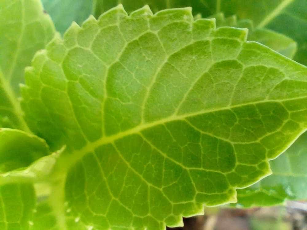 超大音量超长续航的硬核三防智能手机-AGM H5 Pro,户外工作者的完美助手