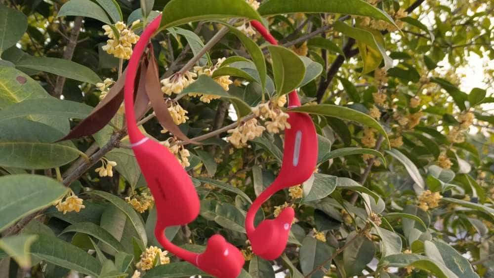 南卡最新款旗舰骨传导耳机Runner4荣获
设计界的“奥斯卡“德国红点最佳设计奖#数码产品