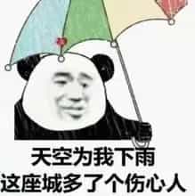 随峰数码