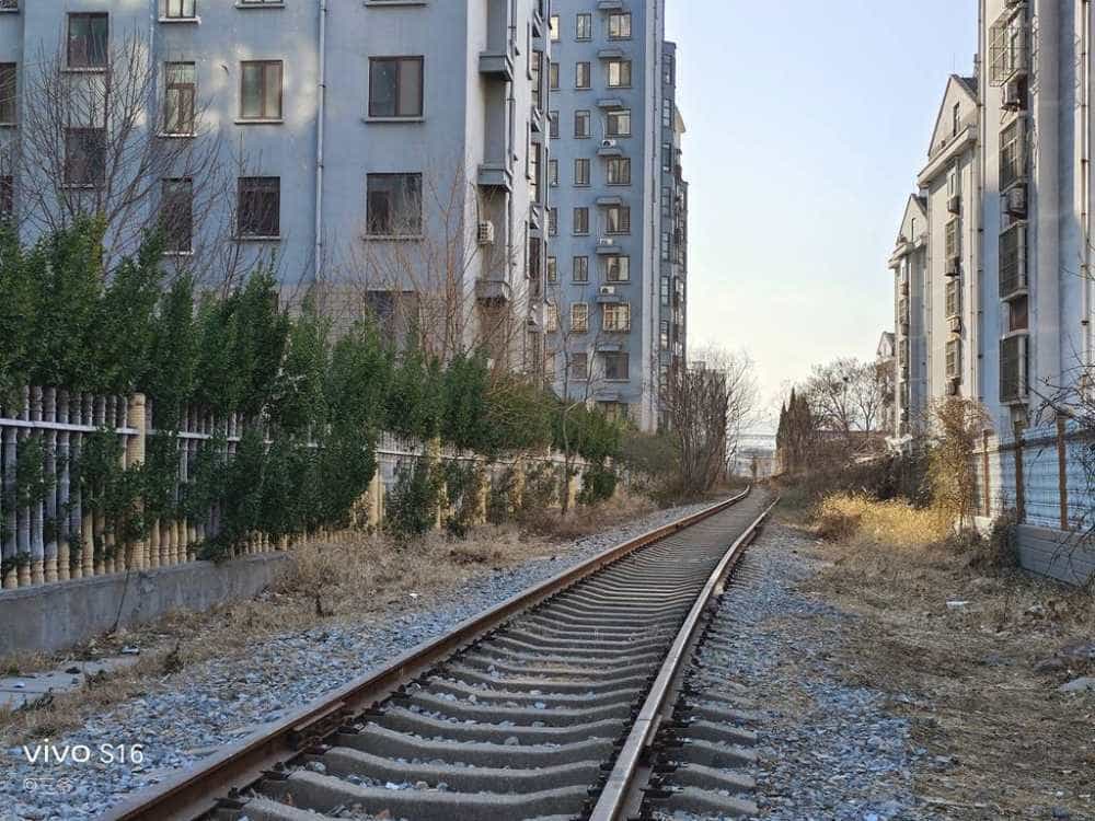 vivo S16烟花评测：双面柔光人像、全能优秀表现