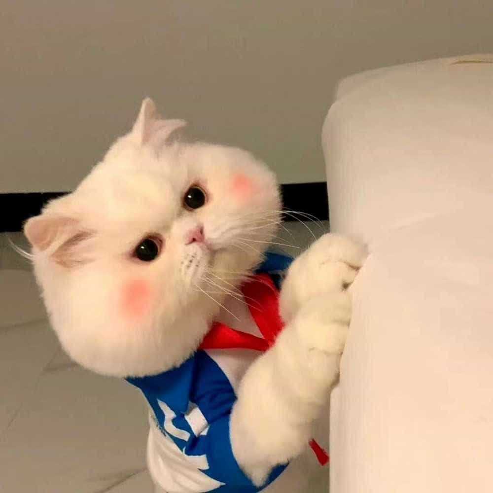 波妞不喜欢在海里。