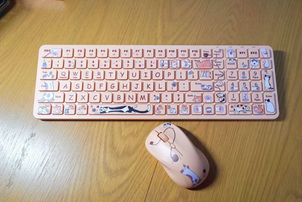 游走指尖云嬉猫，伴我工作好心情——B.O.W MK392三模键鼠套装