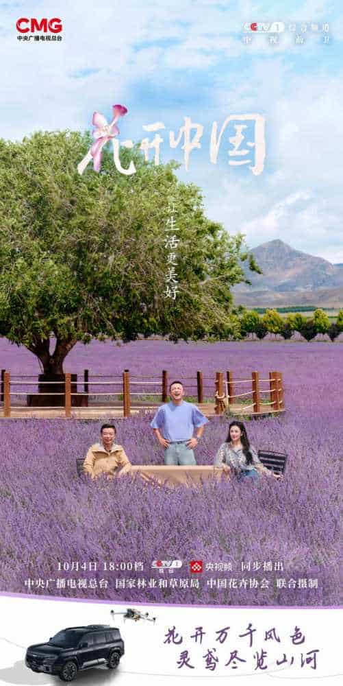 方程豹豹8“灵鸢”出击,找回出游最初的那份心动!