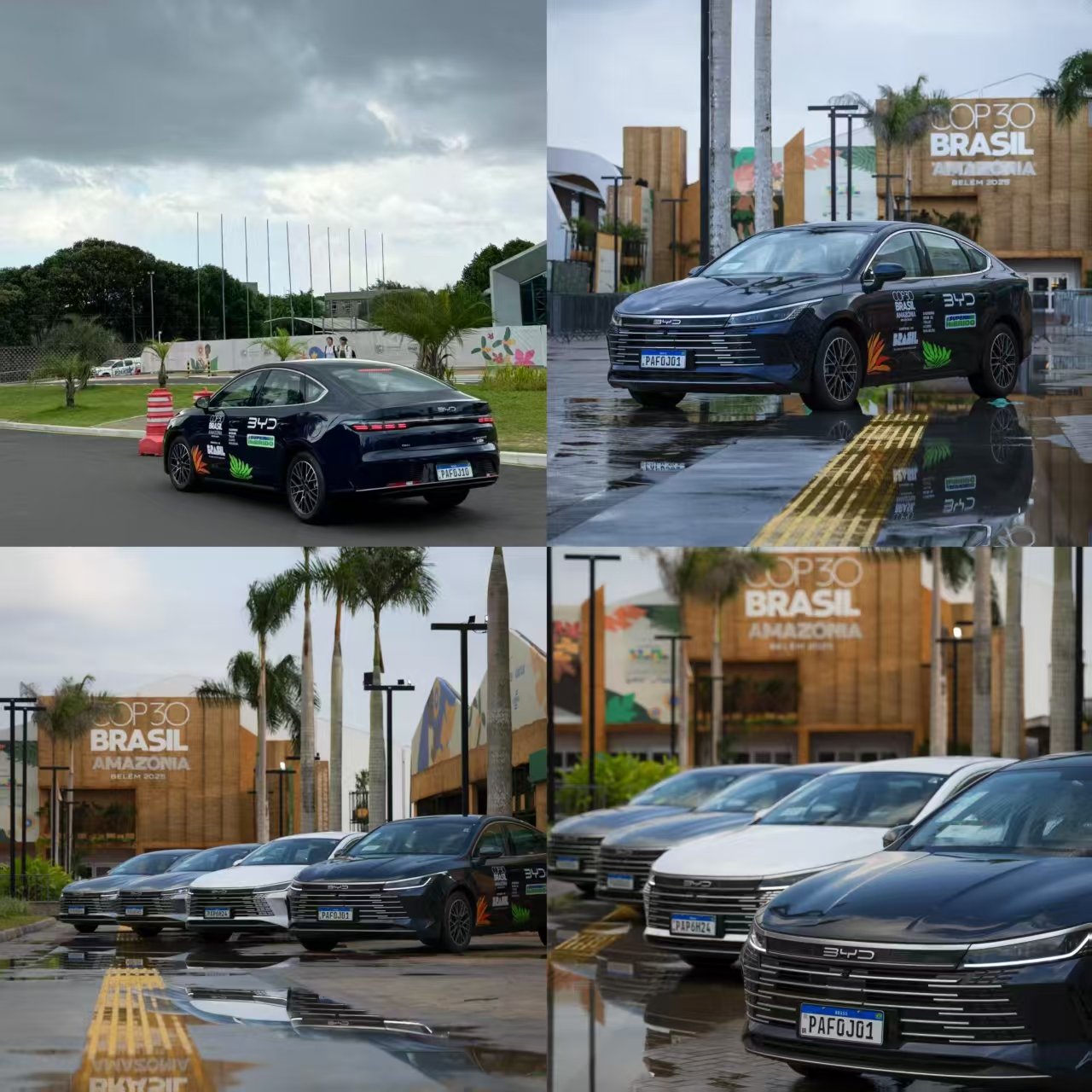 COP30大会：比亚迪用绿色行动，共筑地球美好明天！