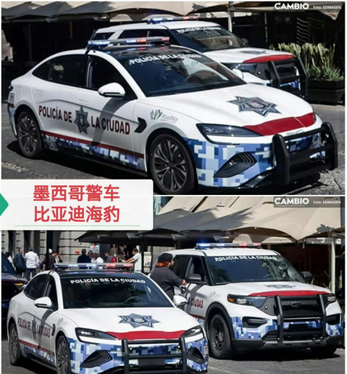 海外公务车“新标配”，中国制造新名片，比亚迪“全球编制”版图