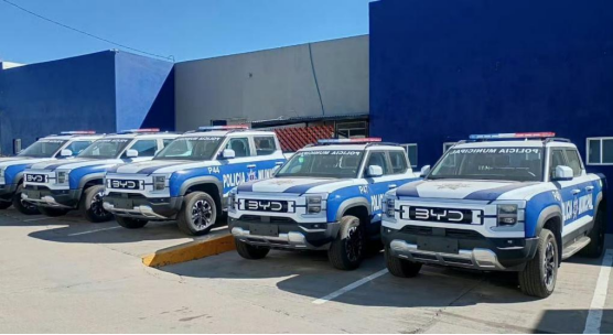 海外公务车“新标配”，中国制造新名片，比亚迪“全球编制”版图