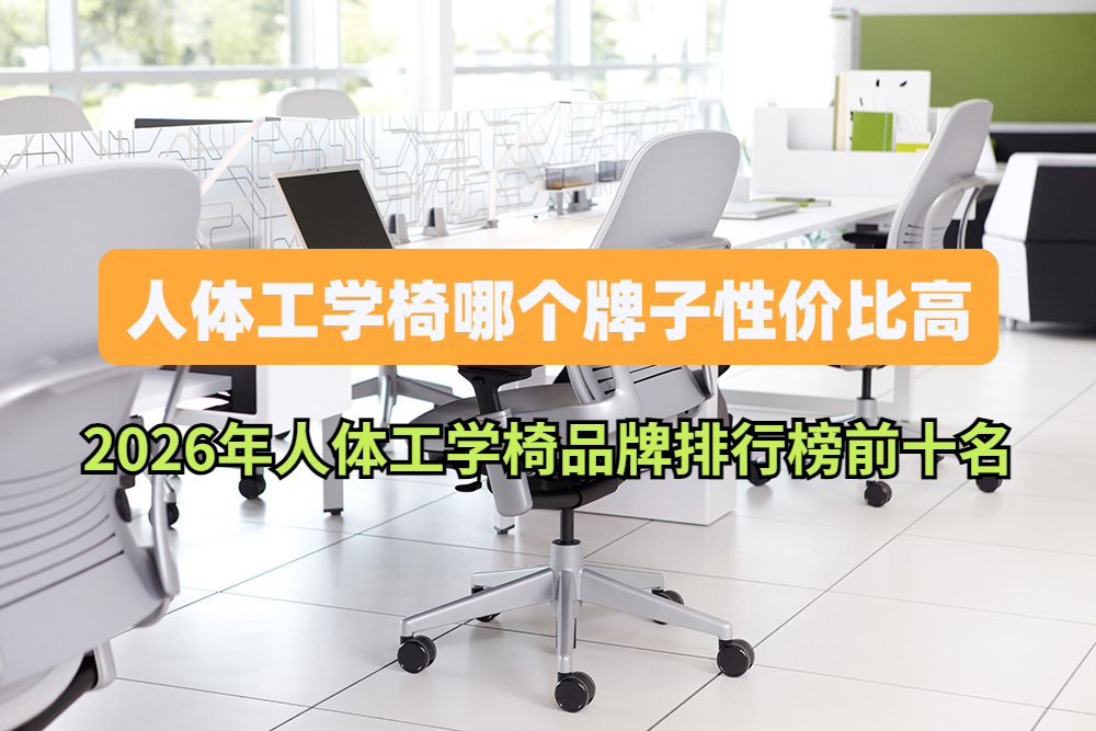 人体工学椅哪个牌子性价比高 2026年人体工学椅品牌排行榜前十名