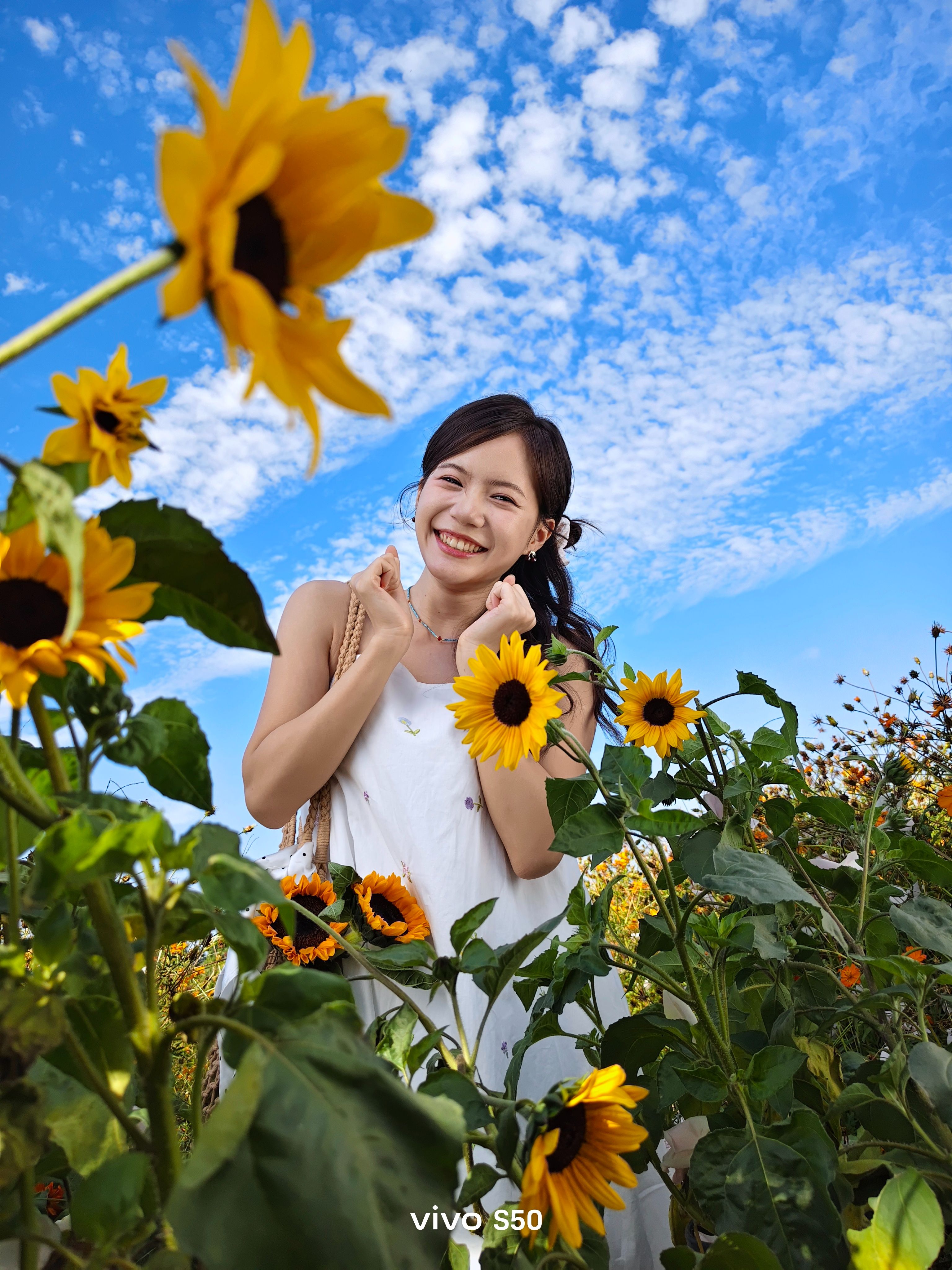 拍人更好看，用起来更顺手，vivo S50系列火热开售