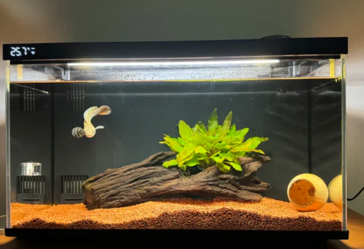 2025京东鱼缸热销数据发布：这10个家庭水族品牌口碑最好