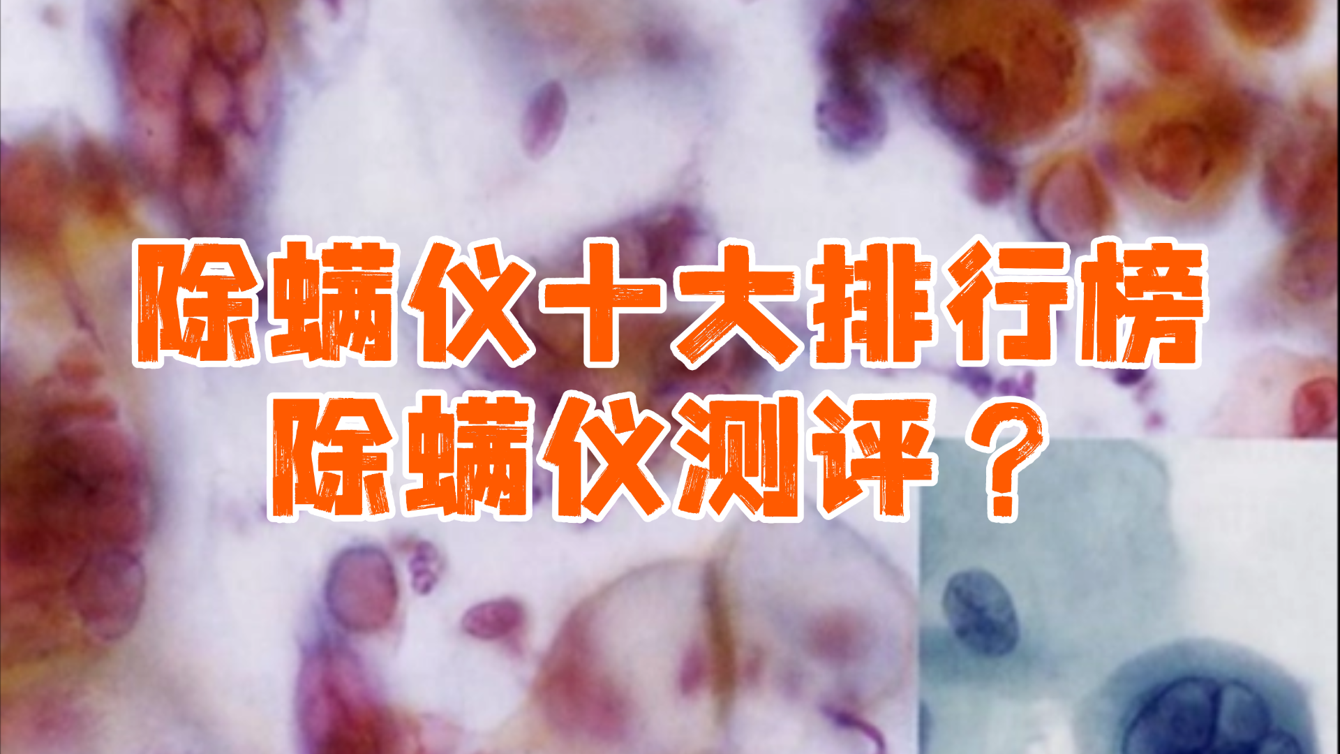 除螨仪十大排行榜除螨仪测评？除螨仪推荐，2026家用除螨仪排名！