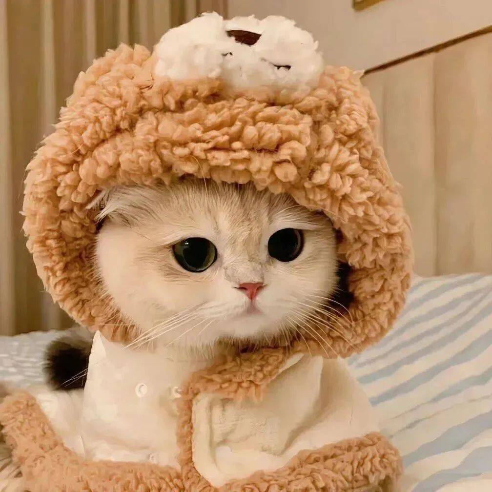 玩科技的老妈妈