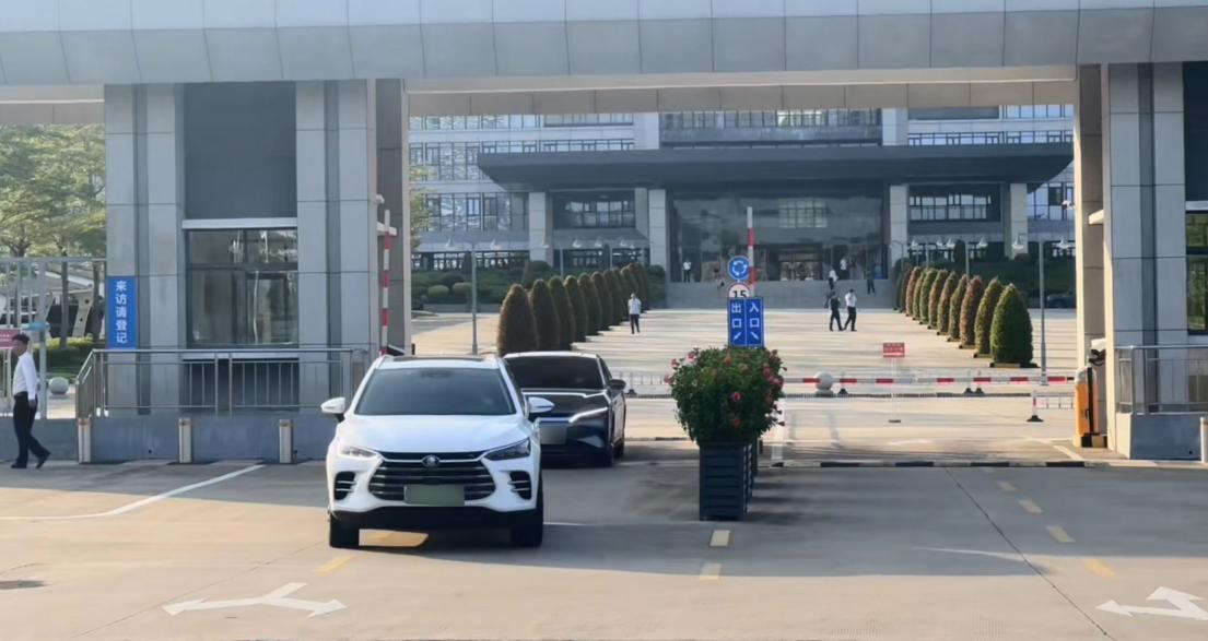 政府大院里的比亚迪，开启通勤新风尚！