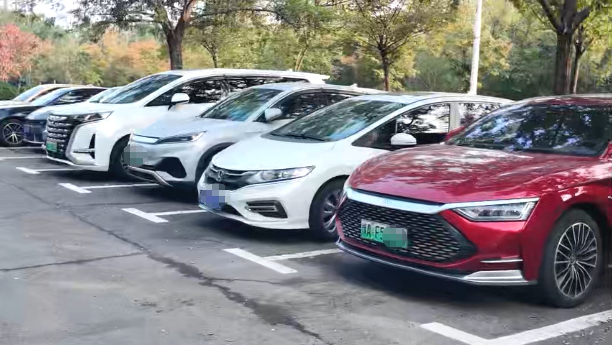 以校园里的比亚迪现象，来看高知人群对车的理解