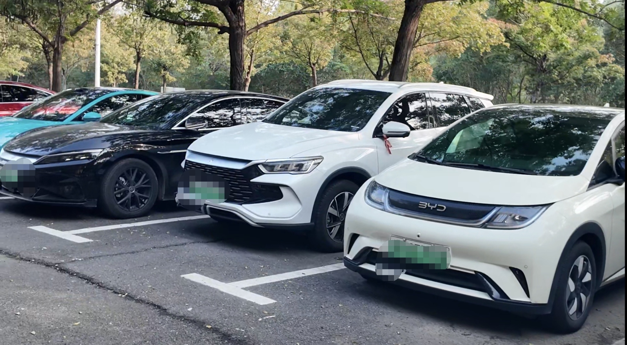 高校教师与比亚迪的“双向奔赴”：技术、场景、理念