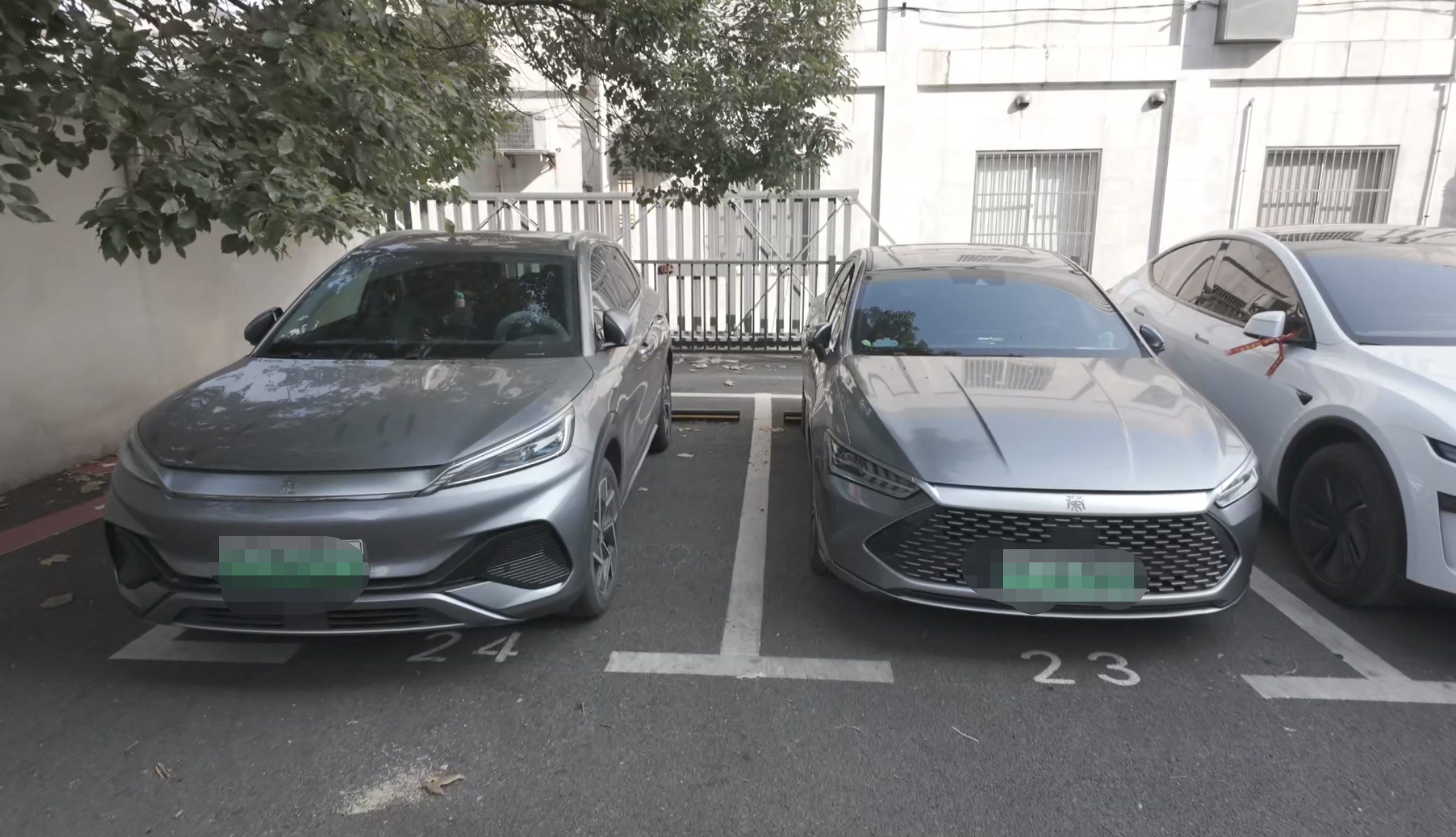 高校教师与比亚迪的“双向奔赴”：技术、场景、理念