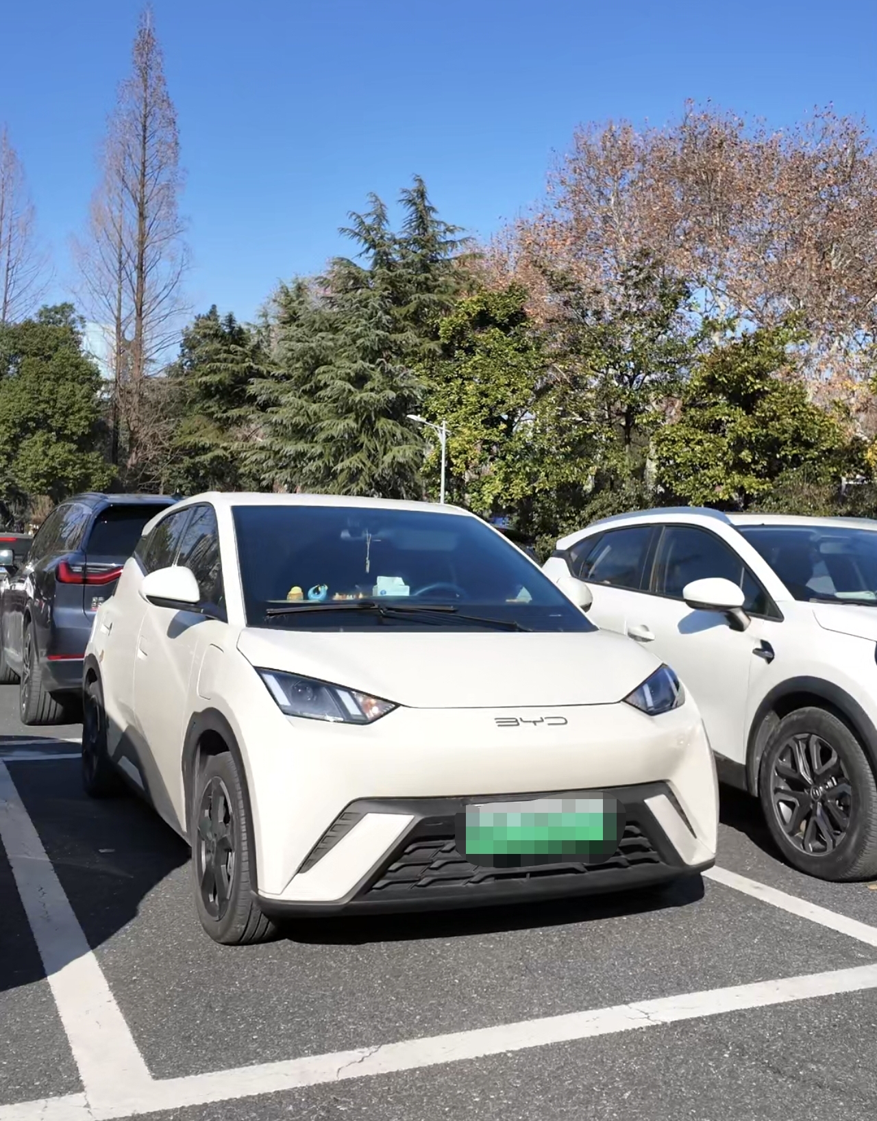 高校教师与比亚迪的“双向奔赴”：技术、场景、理念