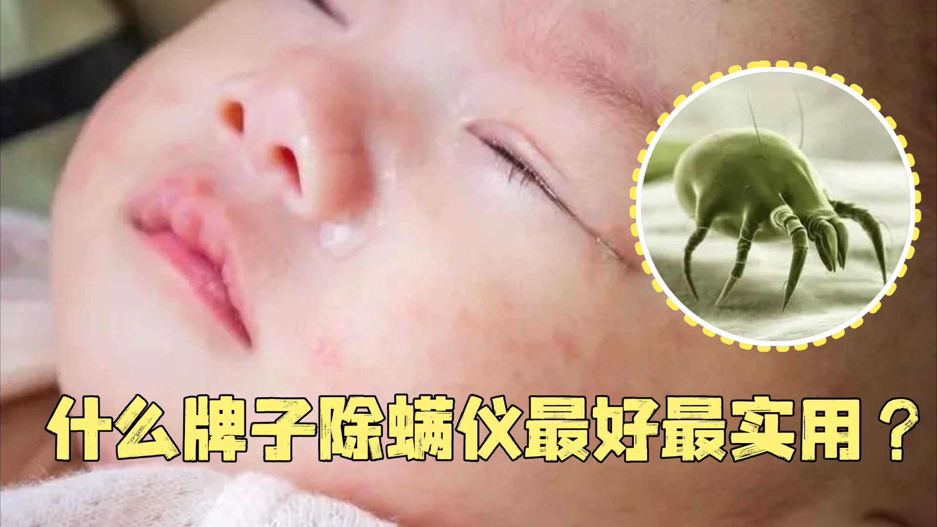 什么牌子除螨仪最好最实用？有线除螨仪哪家最好最实用排名？2026年度值得入手的十款智能除螨仪，专业除螨放心用！