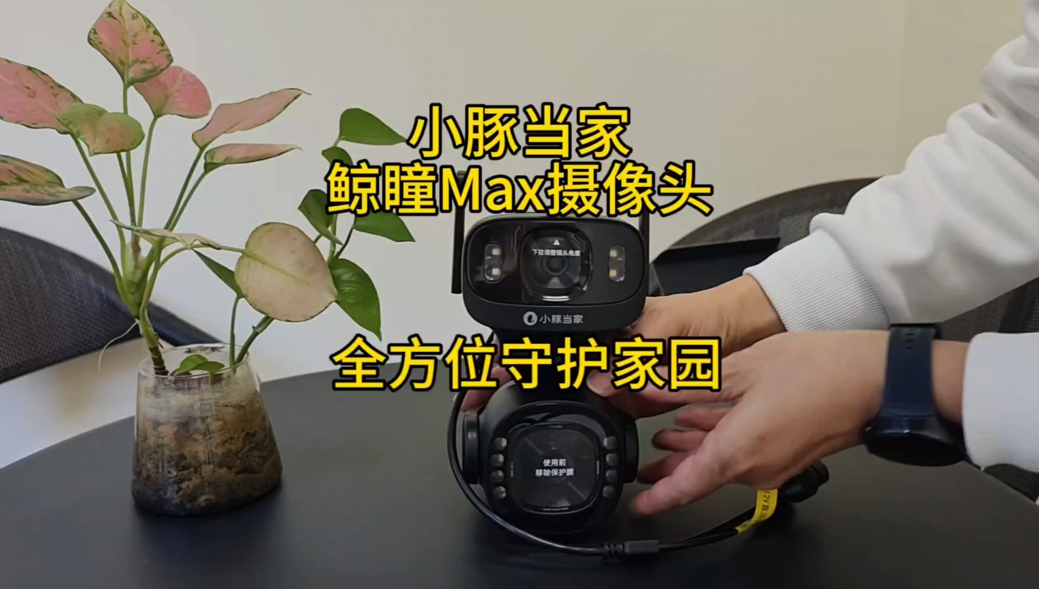 小豚当家鲸瞳Max，不止是摄像头，更是家园的智慧守护者！