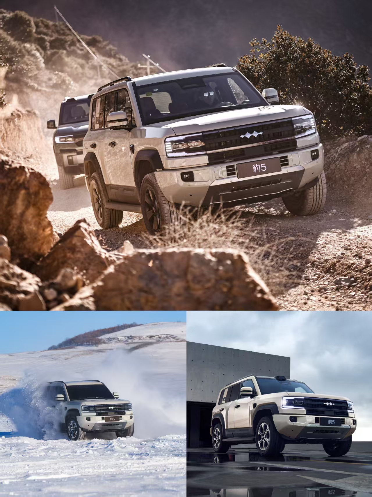 方程豹胜诉“姚十八”:抵制黑公关,守护网络净土