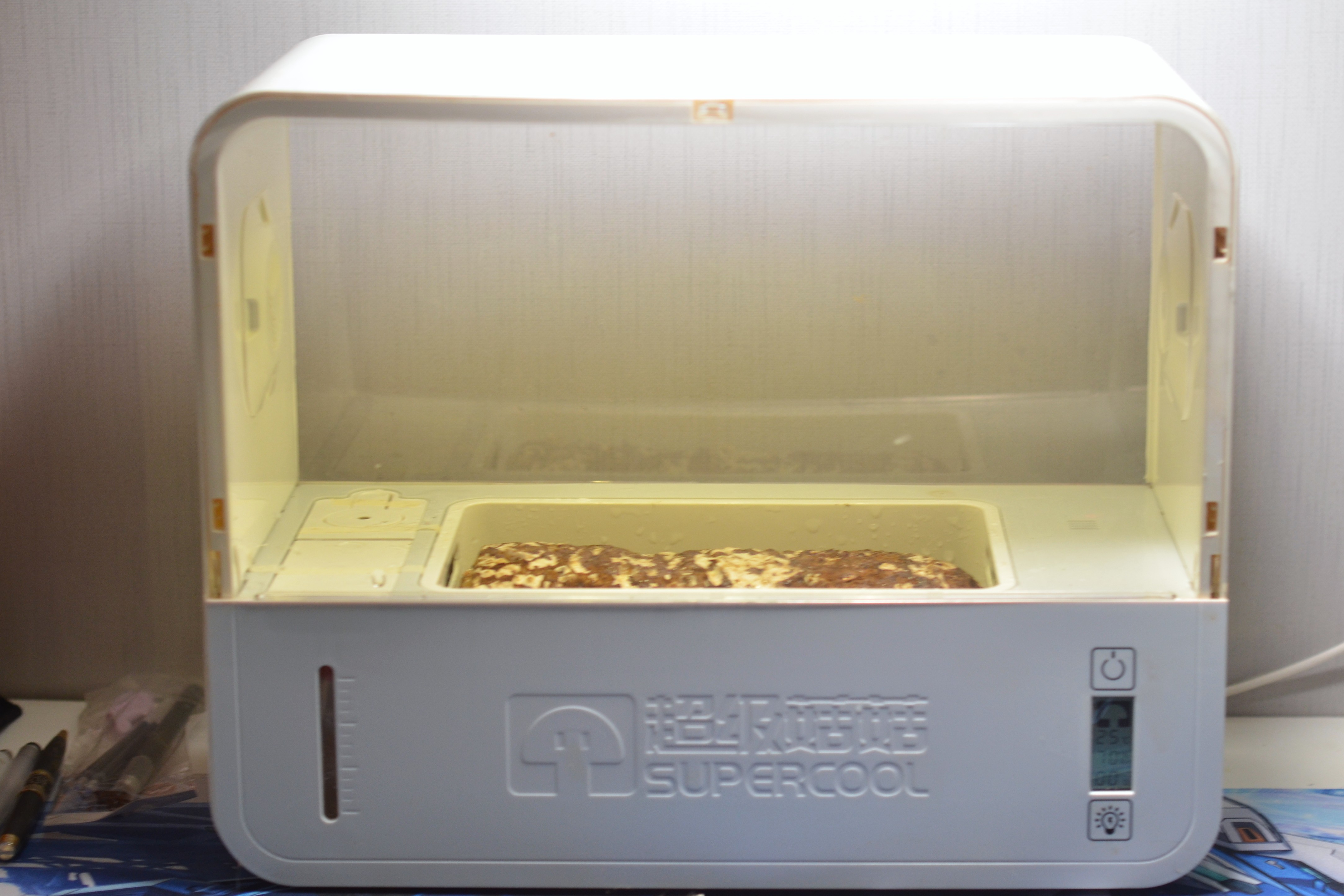 超级菇菇 蘑菇生态箱,七天自然生长让你静享美味蘑菇成长记