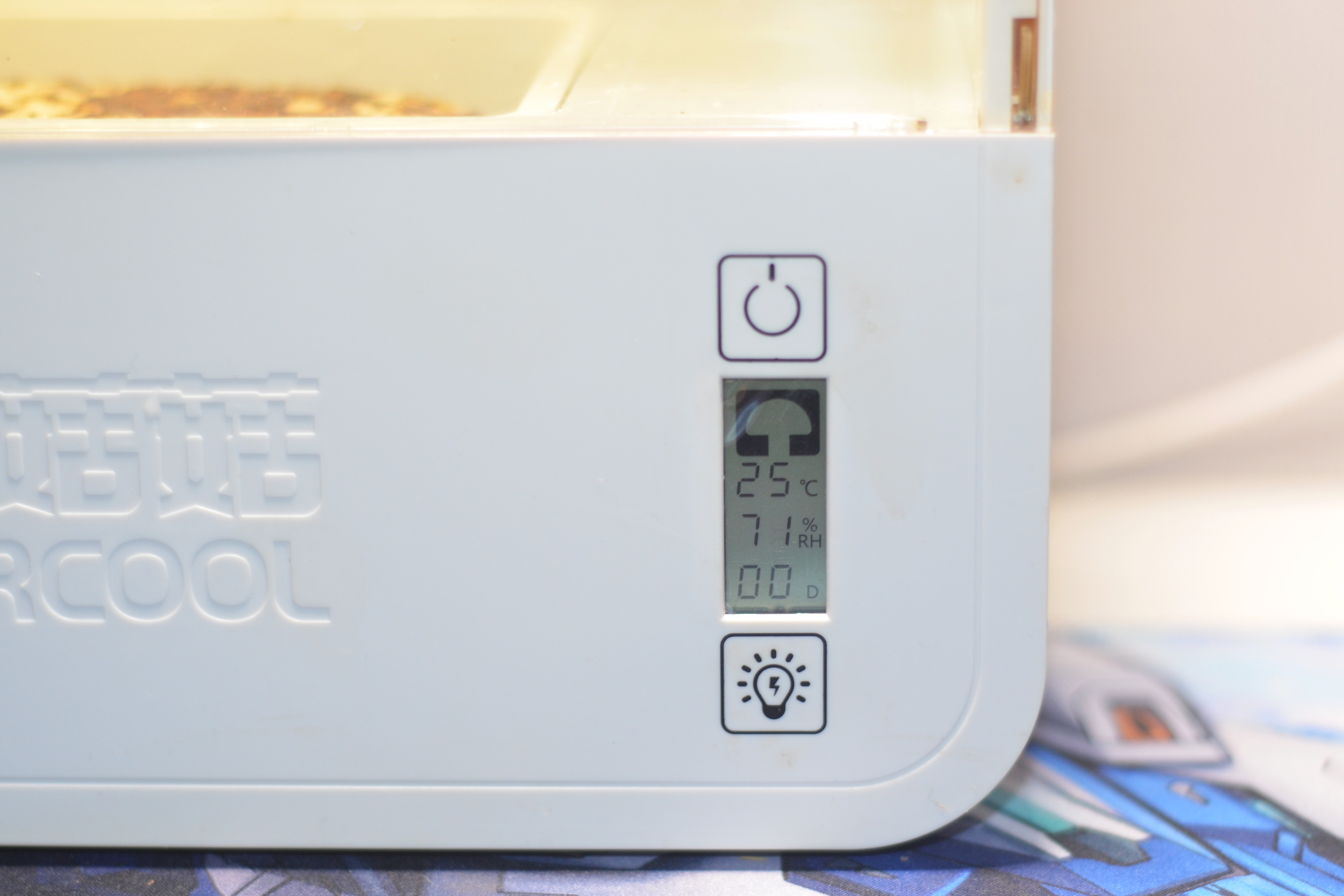 超级菇菇 蘑菇生态箱,七天自然生长让你静享美味蘑菇成长记