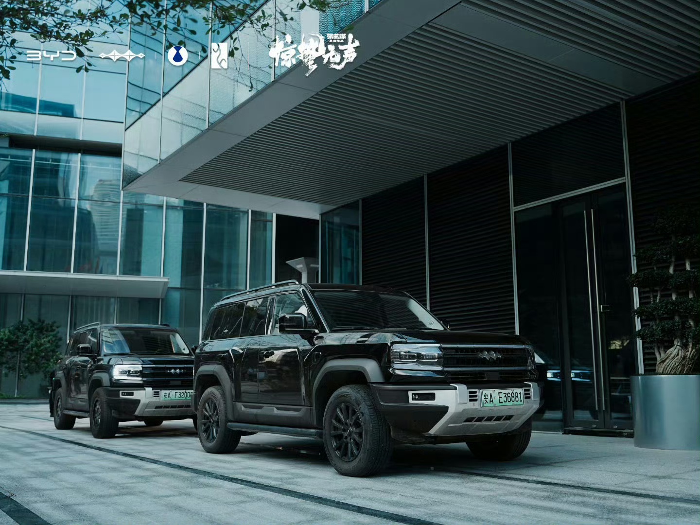 原来最稳的安全感，藏在一路同行里