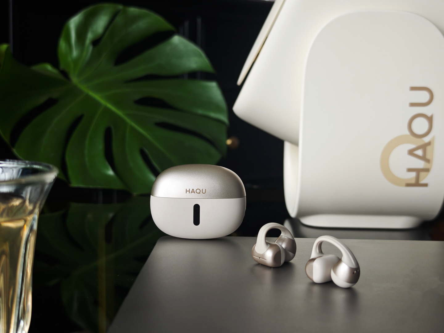 哈趣 Ace1，本猫的本命耳夹终于蹲到了！无感佩戴太OK了