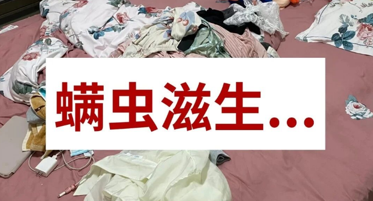 除螨仪排行第一名是哪款？怎样选除螨仪效果最好？全网爆火受欢迎的除螨仪十大品牌推荐，一篇看全！