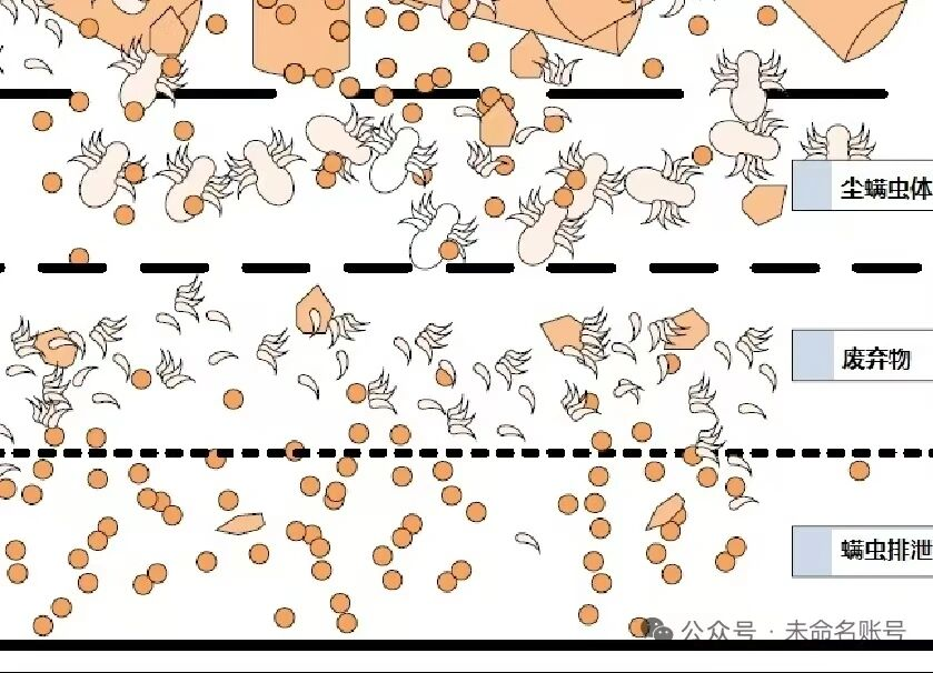 除螨仪哪个牌子性价比高质量好？家用吸尘除螨仪排行榜前十名？2026年零差评的除螨仪推荐TOP10！