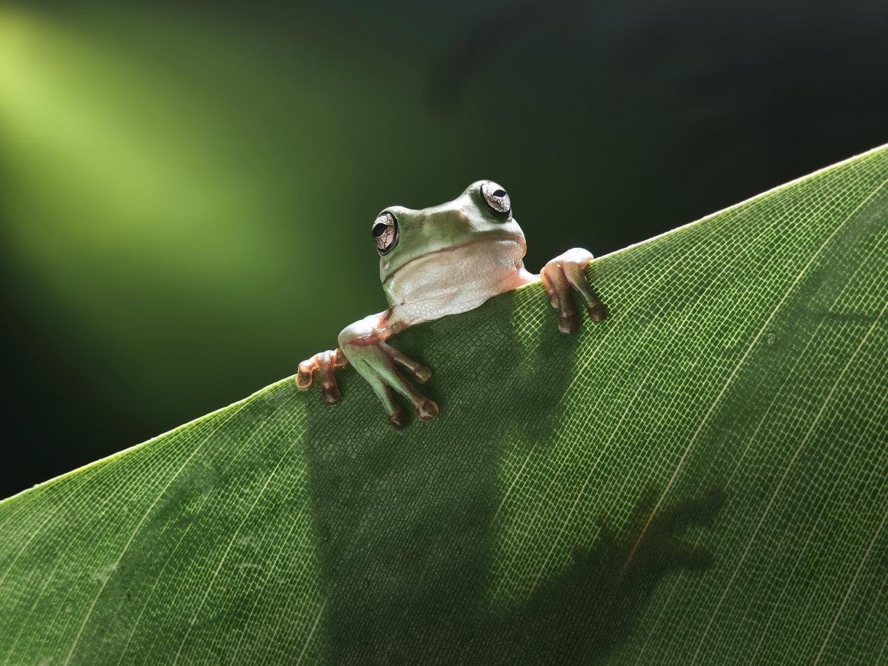 两大科技破解折叠屏8年折痕难题，OPPO Find N6定义旗舰新标杆