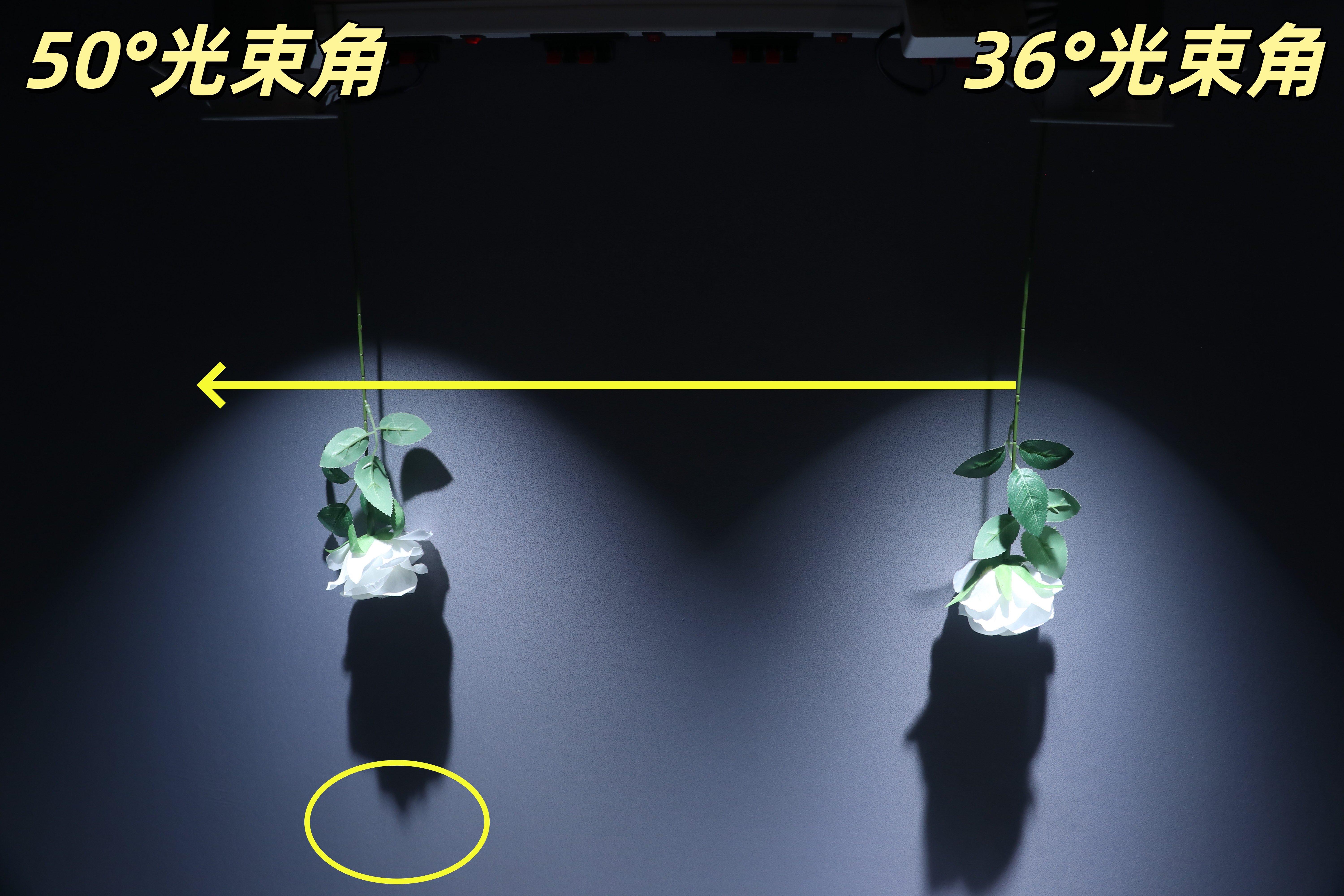 一年省出几十块电费！领普LD5智能筒射灯，低功耗+高性价比双杀