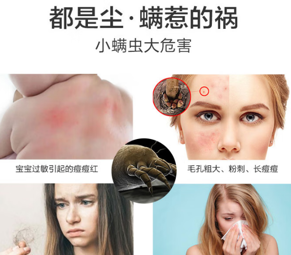 如何正确挑选除螨仪？床上除螨仪怎么选？口碑爆款家用除螨仪十大排名榜，选对除螨不愁