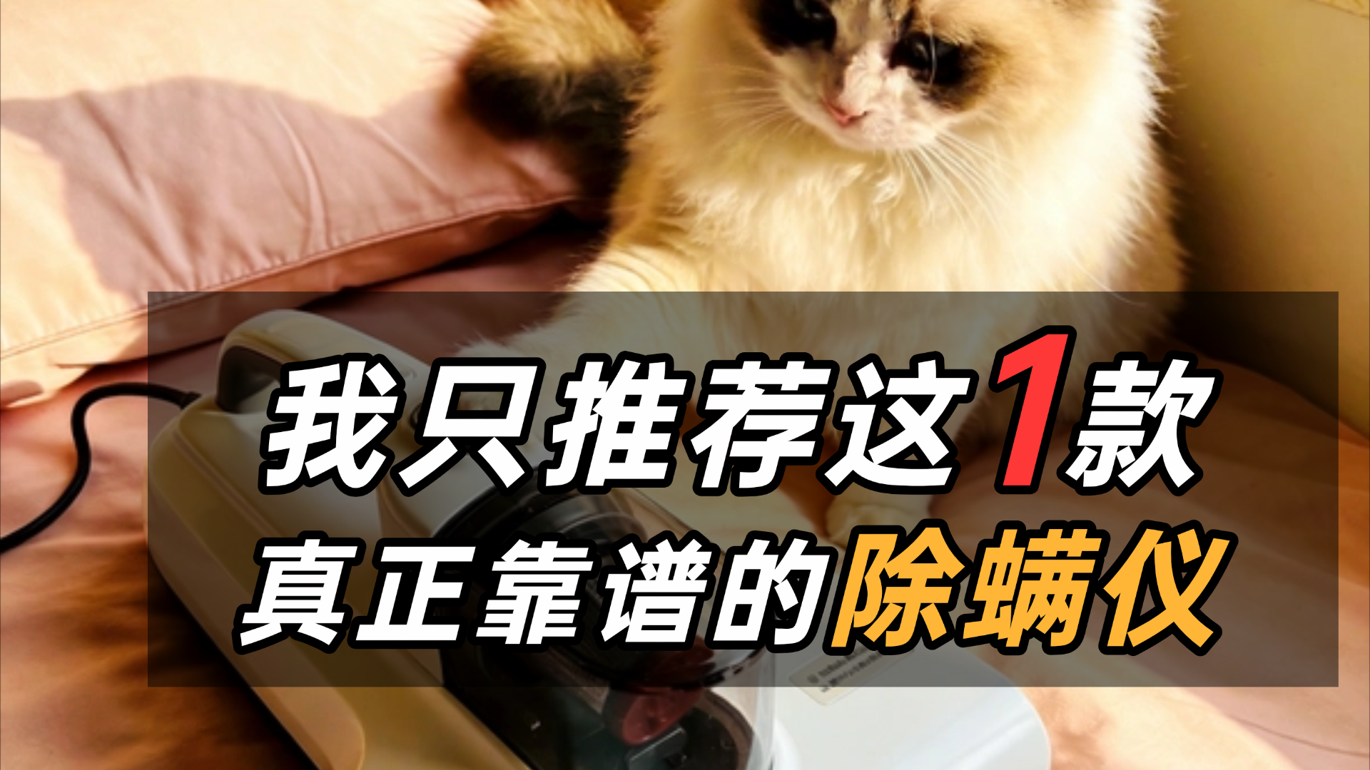 除螨仪十大排行榜除螨仪测评分享？除螨仪哪一种效果最好用？2026平价家用除螨仪排行榜10强品牌，最新