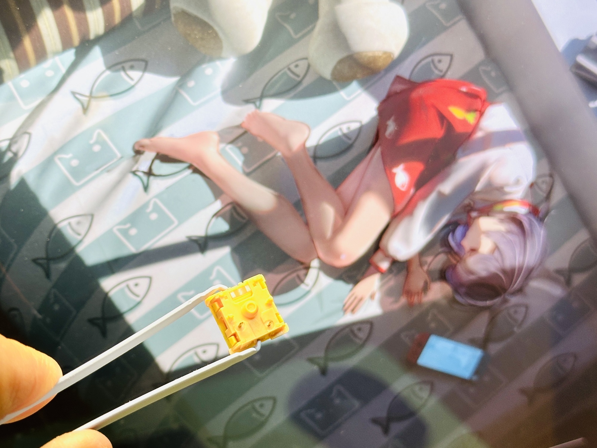 Akko 5108 V5 罗小黑联名：办公党本命键盘，治愈手感+颜值双在线