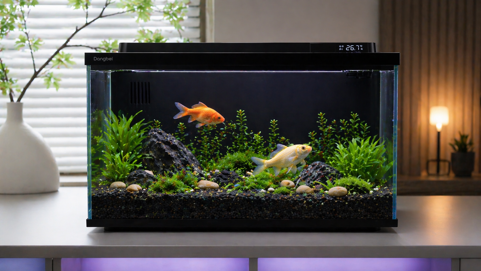 当贝 2S Ultra智能鱼缸实测：新手养鱼，省心比什么都重要！