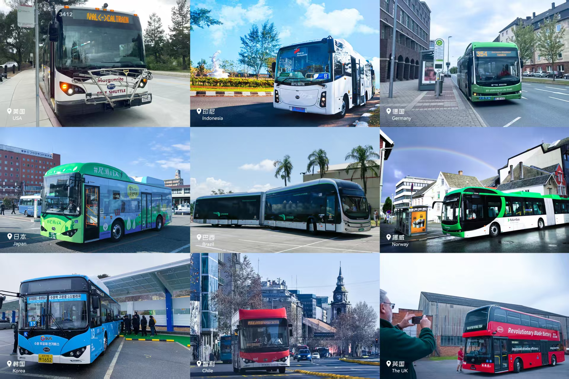 2026首季夺冠！比亚迪新能源客车加速全球公交电动化