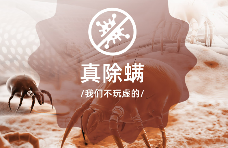 家用除螨仪怎么选不踩坑？除螨仪哪个品牌好一些？高质量除螨仪十大名牌排行榜！亲测好用！