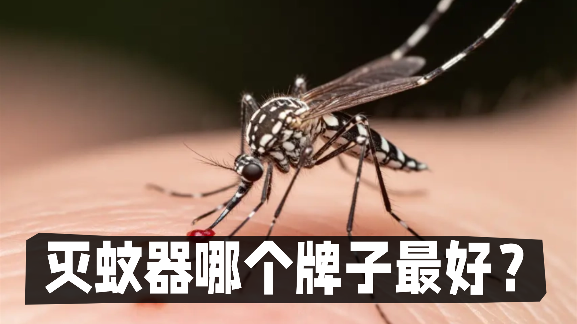 灭蚊器哪个牌子最好？驱蚊器哪个牌子效果好一点？灭蚊器推荐性价比高排行榜百元内10强分享！
