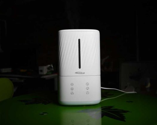 雾量充足的加湿器，还有香氛功能加持，舒乐氏小白鲸加湿器上手