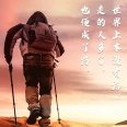 是爱译译啊
