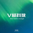 V叔科技